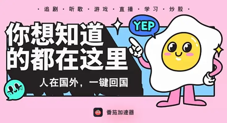 free vpn 中国使用方法