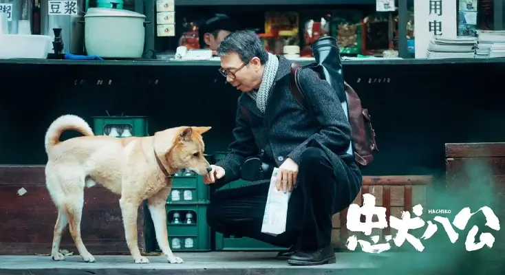 网易云地区限制评价